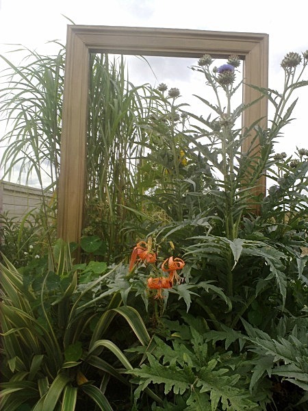  - Spangle Gall Gardens