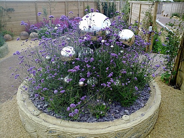  - Spangle Gall Gardens