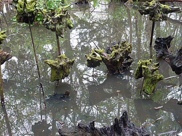  - Groombridge