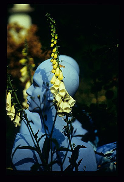  - Garden in Mind