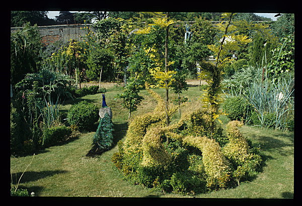  - Garden in Mind