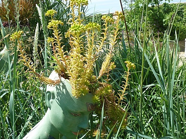  - Spangle Gall Gardens