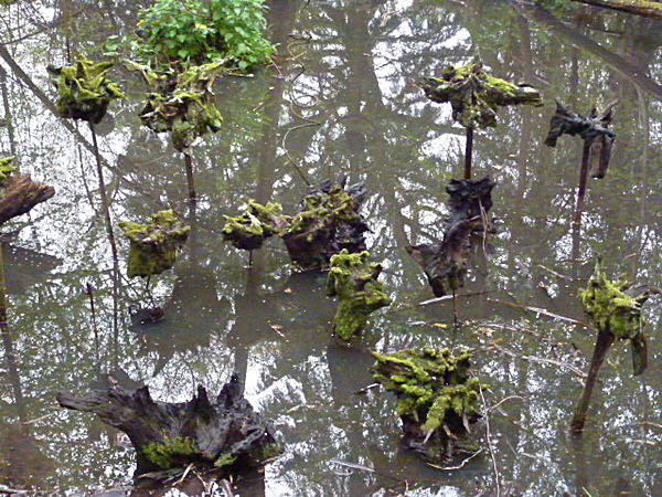  - Groombridge