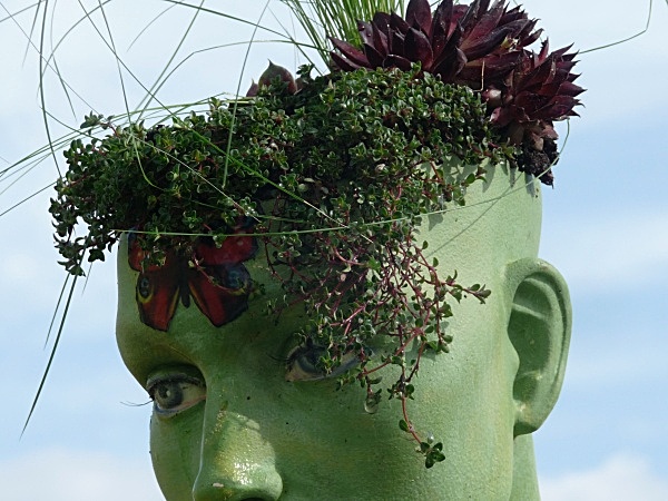  - Spangle Gall Gardens