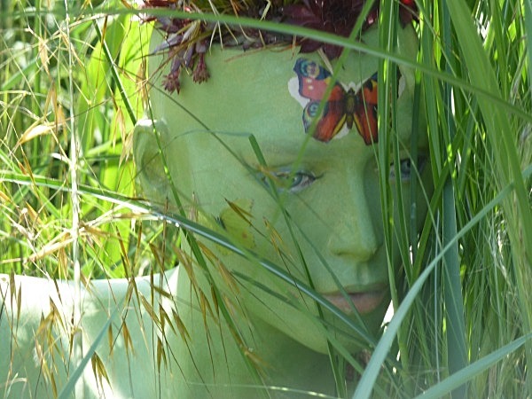  - Spangle Gall Gardens