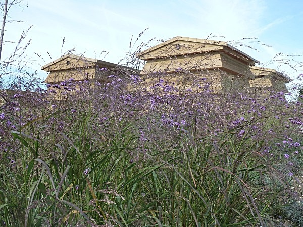  - Gardens