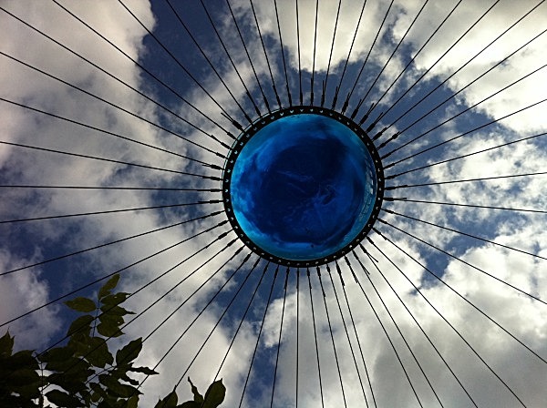 Pergola Climbing Garden - Stratford Butterfly Farm (in progress)