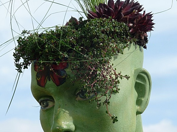  - Spangle Gall Gardens