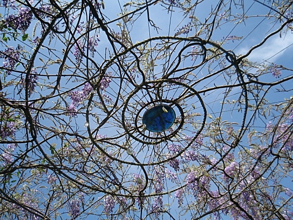  - Climbing Garden