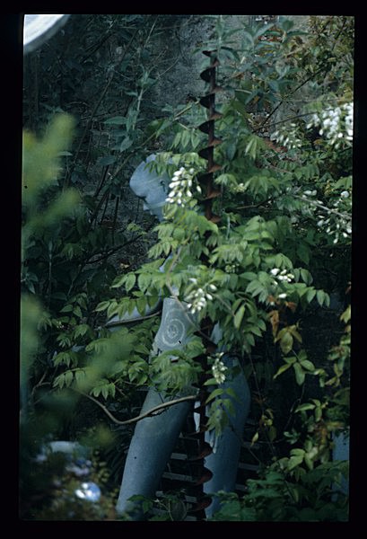  - Garden in Mind