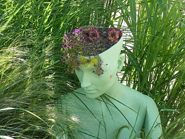  - Spangle Gall Gardens