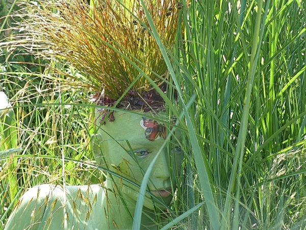  - Spangle Gall Gardens