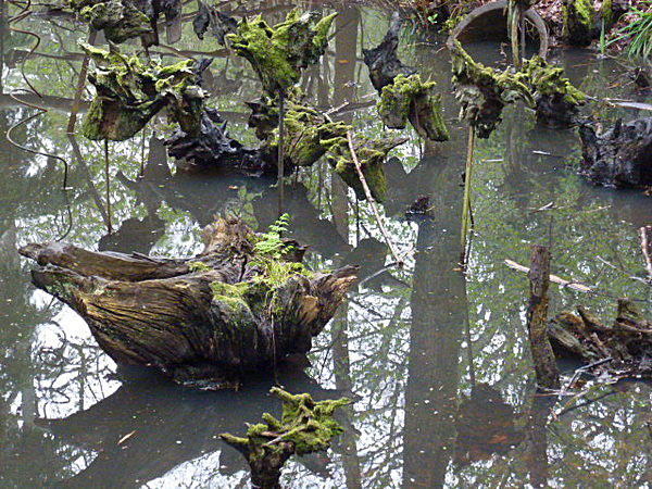  - Groombridge