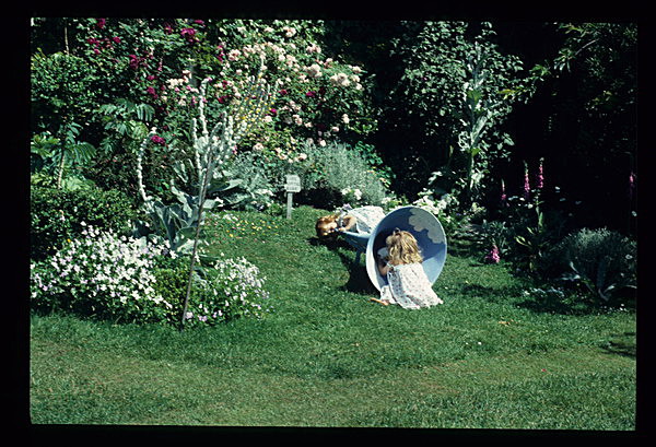  - Garden in Mind