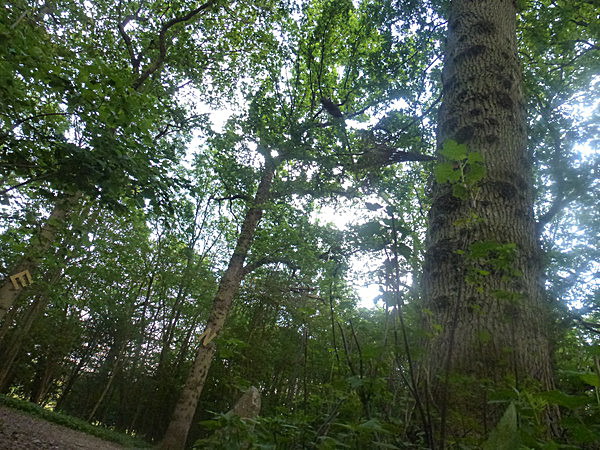  - Groombridge