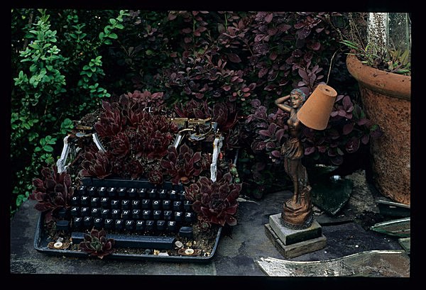  - Garden in Mind