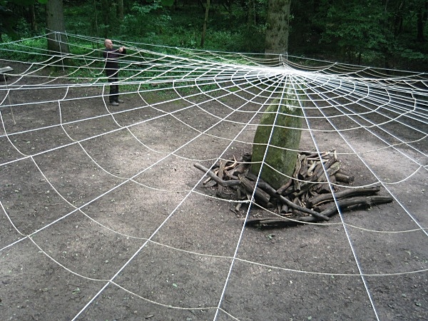  - Duir Wood