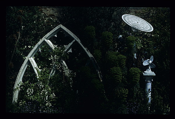  - Garden in Mind