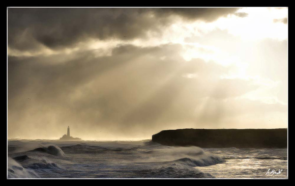 St Mary's lighthouse [3] - Landscapes