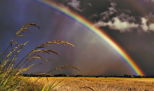 Pot of Gold - Landscapes
