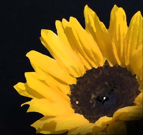 45 - Flowers