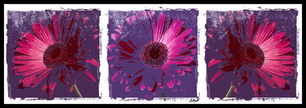 44 - Flowers