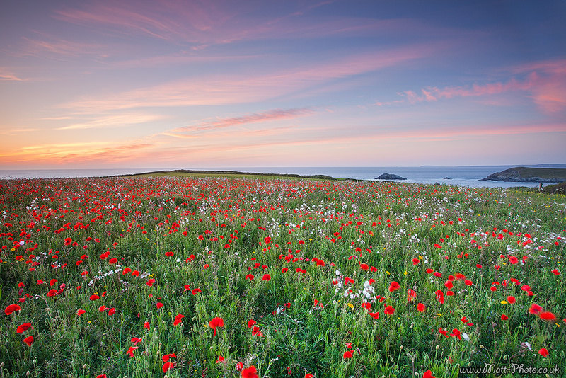 Crantock - Cornwall - North Coast 2