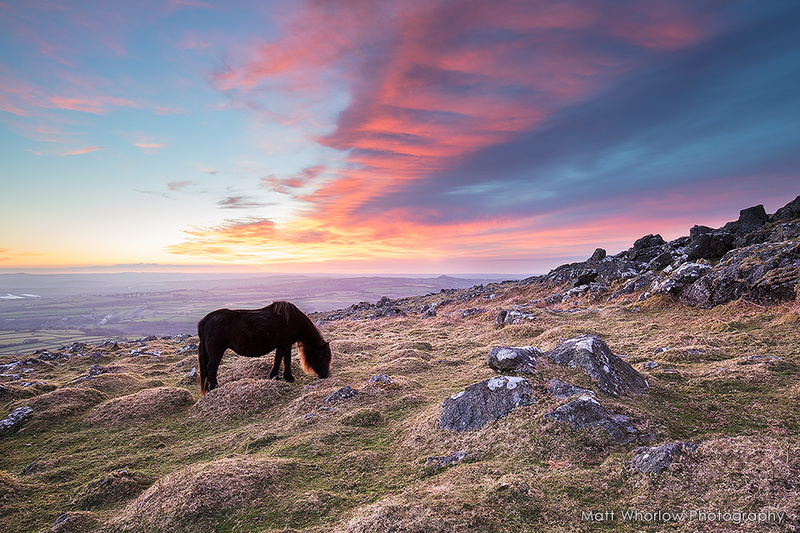 Cox Tor - Dartmoor