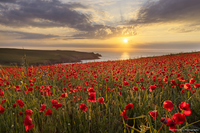 Polly Joke - Cornwall - North Coast 2