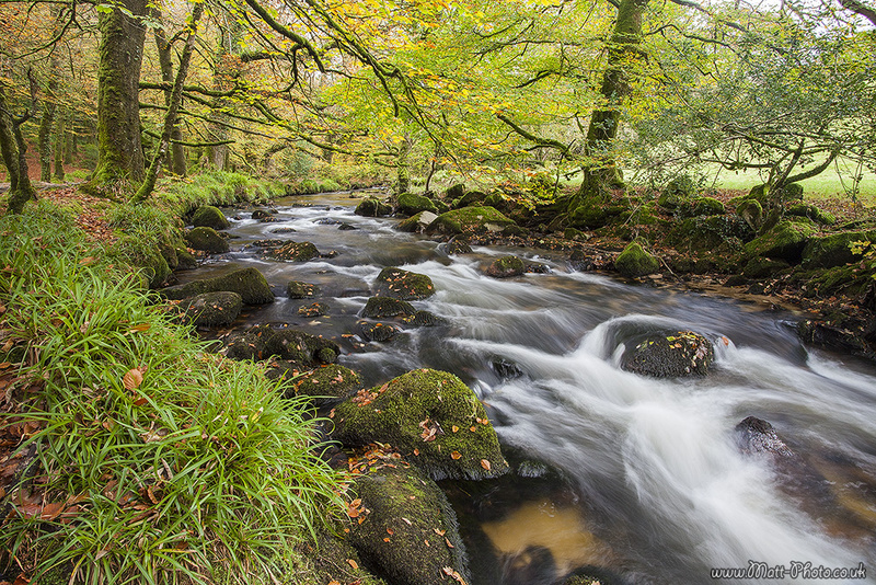 Golitha Falls - Cornwall - Towns and Countryside