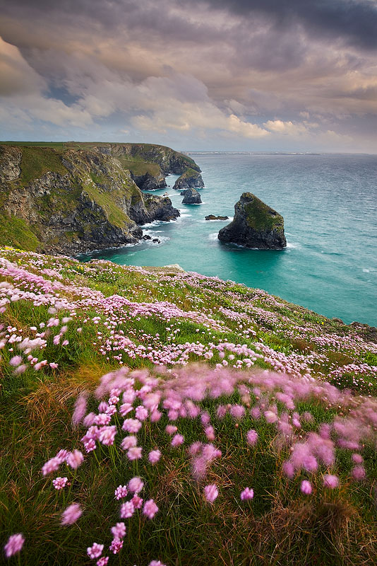 Pink Haze - Cornwall - North Coast 1