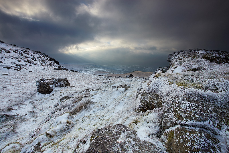 The White Hare - Dartmoor