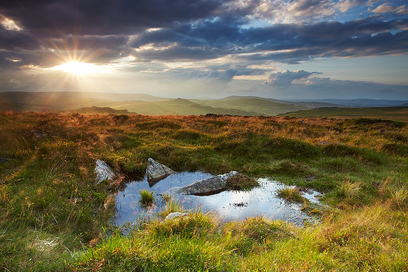 Haytor Down - Dartmoor