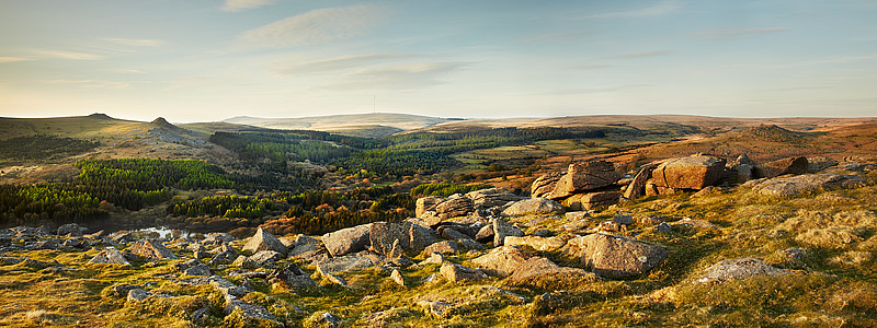 Sheeps Tor - Panoramic