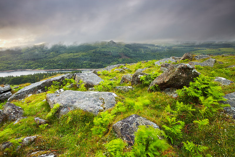 Green and Grey - Dartmoor