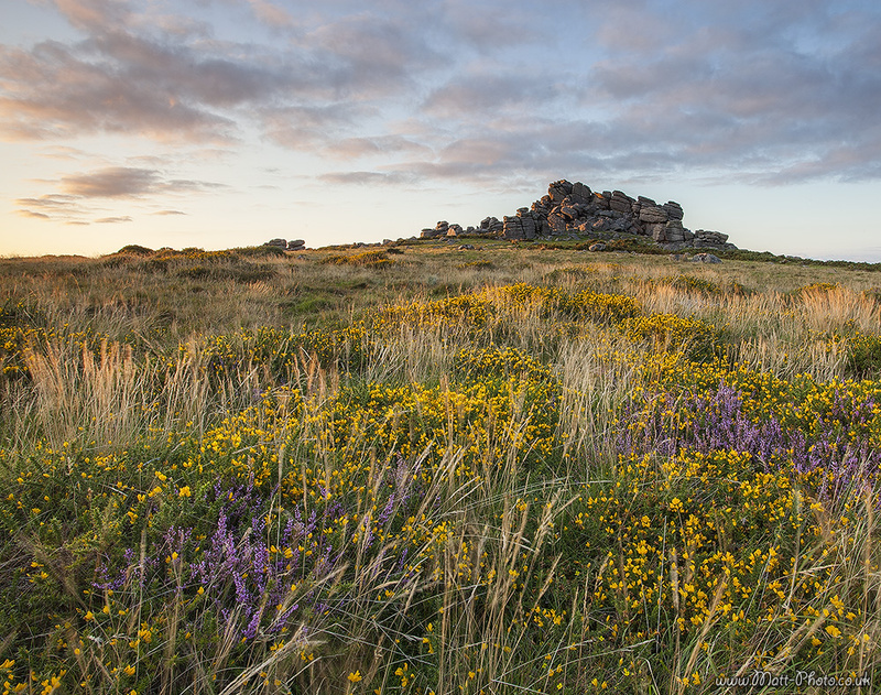 Hound Tor - Dartmoor