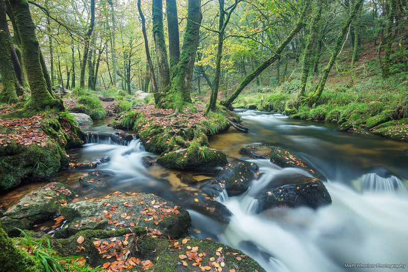 Golitha Falls - Cornwall - Towns and Countryside