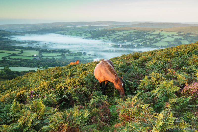 Chinkwell Tor - Dartmoor