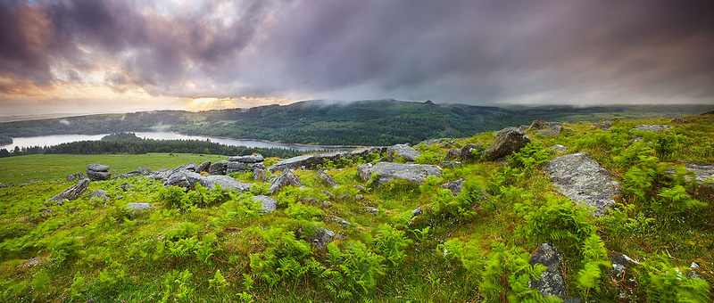 Green and Grey II - Panoramic