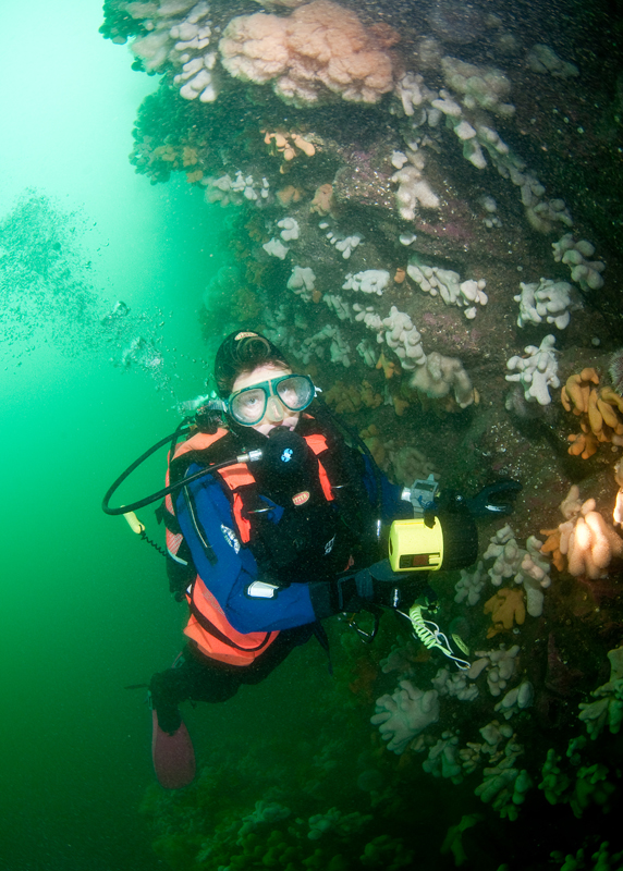 Diver observes wall reef 1 - Diver exploring marine environment