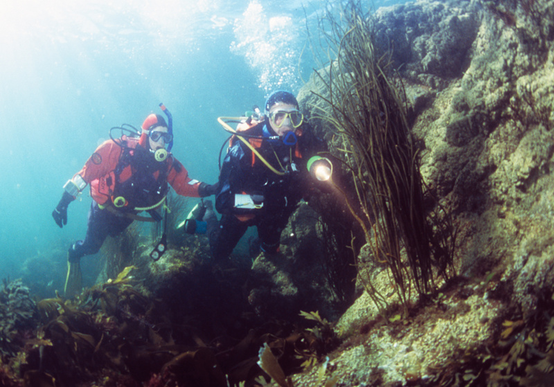 Divers explore shallow area