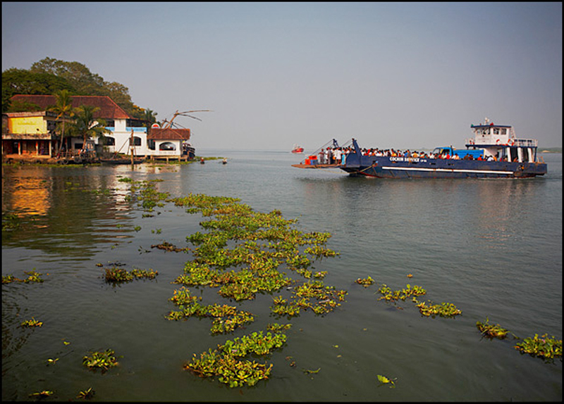 Cochin Ferry - India - Kerala