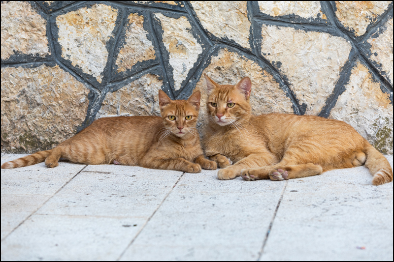 Skradin - Croatia