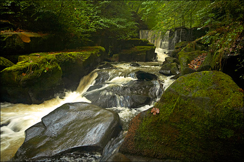 Healey Dell - Waterfalls