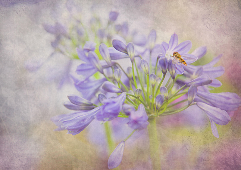  - Digital Art