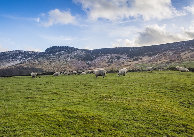  - Saddleworth