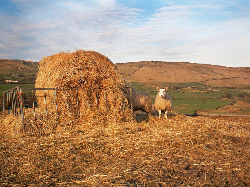  - Saddleworth