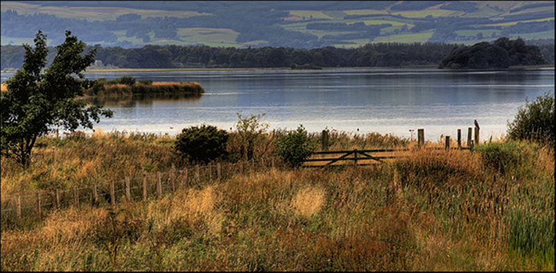 Watching - Scotland
