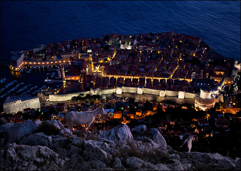 The Goats View - Croatia