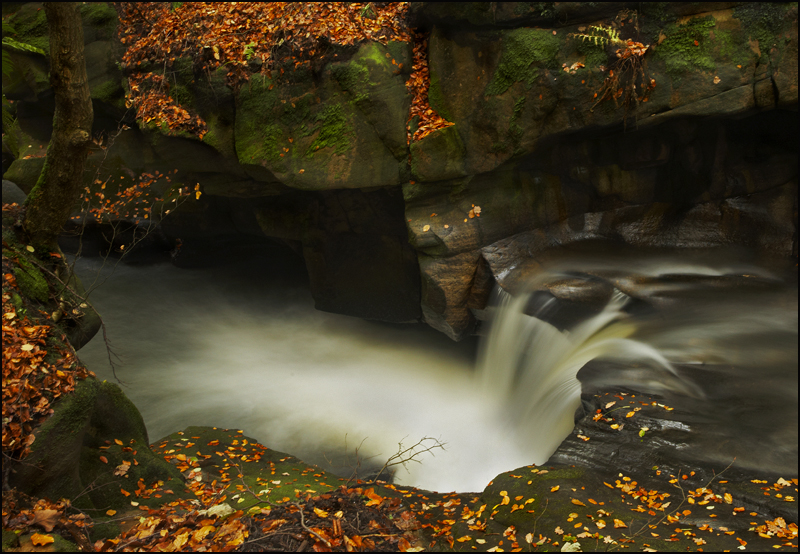 Healey Dell - Waterfalls